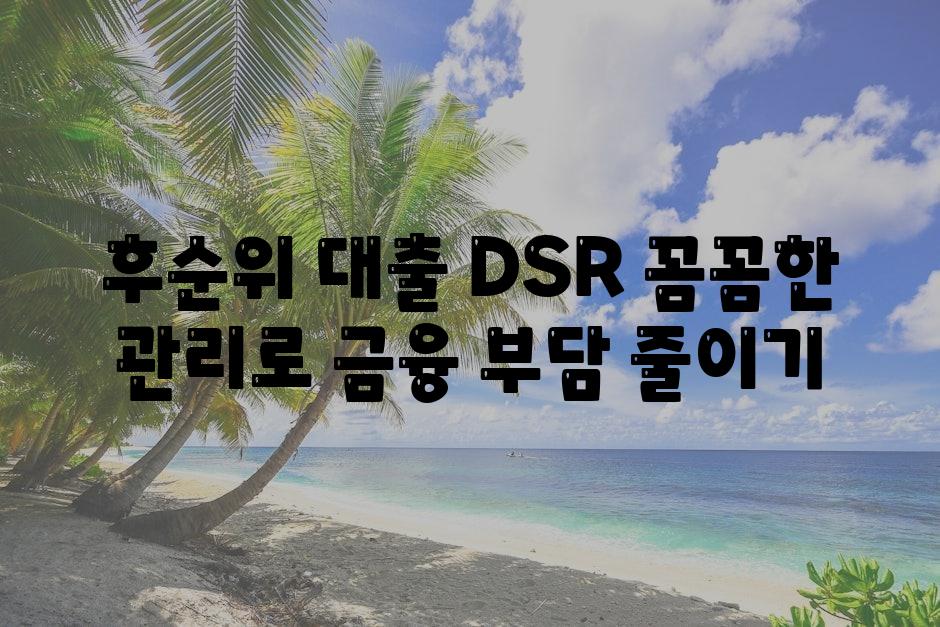 후순위 대출 DSR 꼼꼼한 관리로 금융 부담 줄이기