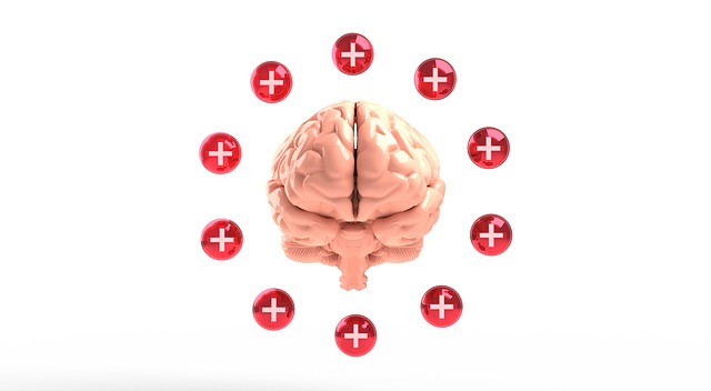 뇌건강에 도움되는 기억력영양제 가이드
