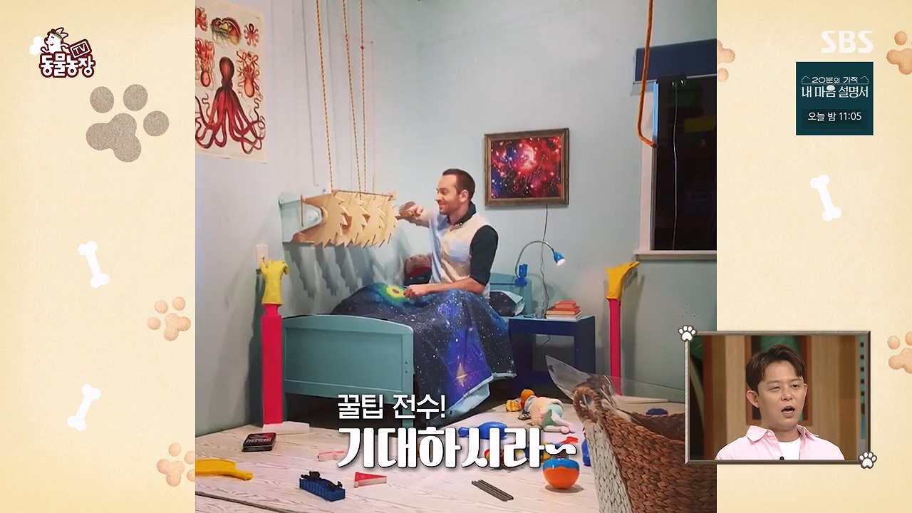 TV 동물농장.E1172.240520p-NEXT.mp4_20240519_162200.863.jpg