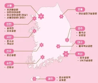 전국 겹벚꽃 명소 베스트 10 관광지_8