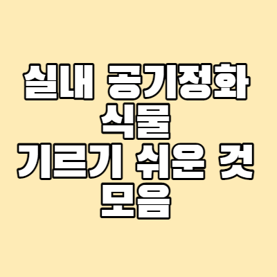 실내-공기정화-식물