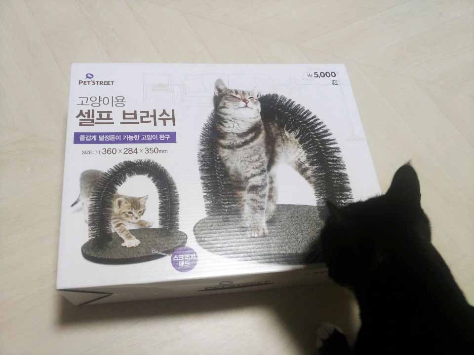  다이소 고양이용 셀프브러쉬와 털청소기 구매 후기에요