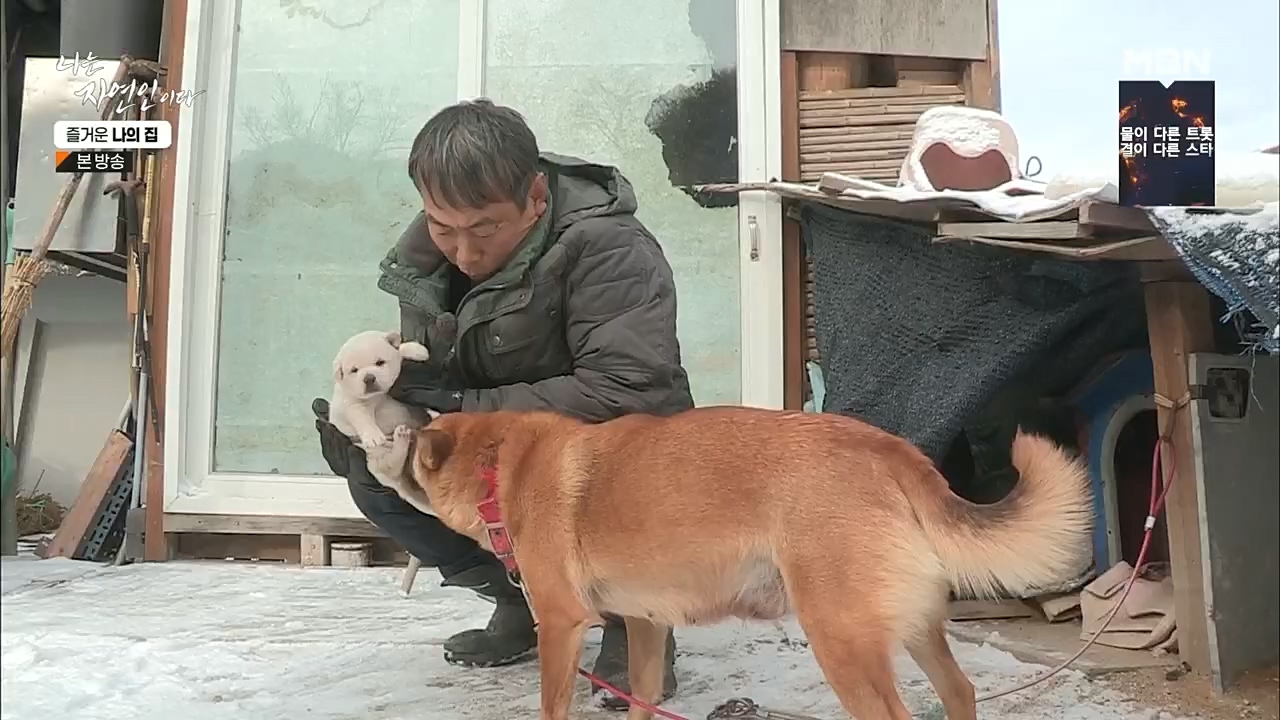 나는 자연인이다.E535.230105p.H264-F1RST.mp4_20230106_204008.743.jpg