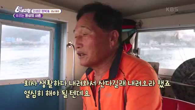6시 내고향_김장의 필수품 평창 고랭지 배추 - 강원 평창 [슬기로운 두 반장] 슬기로운 어르신들을 찾아서 (충북 제천) [붕붕이가 간다] 철원에 무슨 일이 (강원 철원) [인생은 행복海] 우리는 환상의 사촌 (경남 통영).ts_20231117_205446.783.jpg