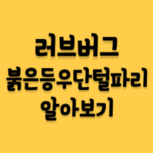 러브버그