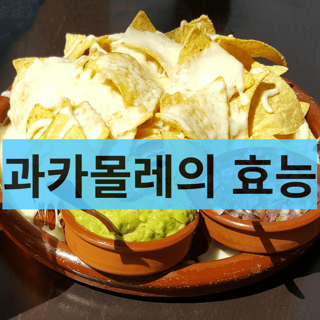  간단하고 몸에 좋은 과카몰레로 식탁을 풍요롭게(간단 레시피 공유)