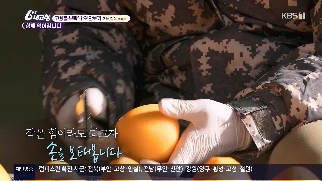 6시 내고향.E7922.231129p.H264-F1RST.mp4_20231129_203835.731.jpg