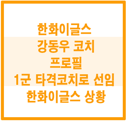 한화이글스 강동우