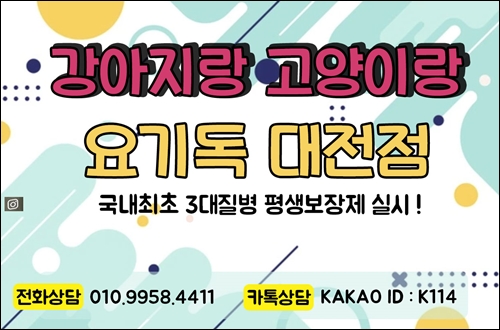  대전강아지분양 이젠 3대질병보장 가능한 곳에서!