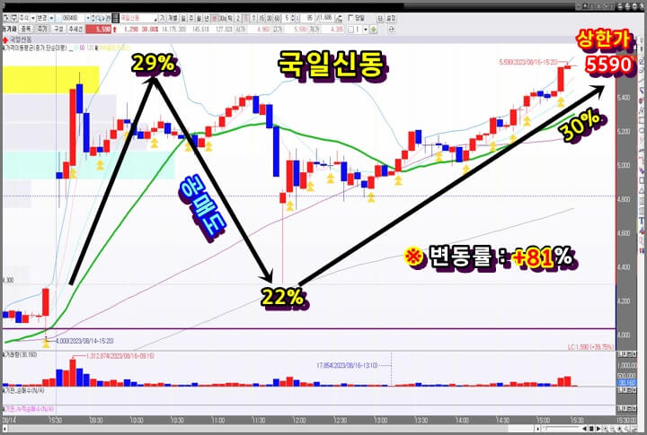 국일신동-5분-봉-차트