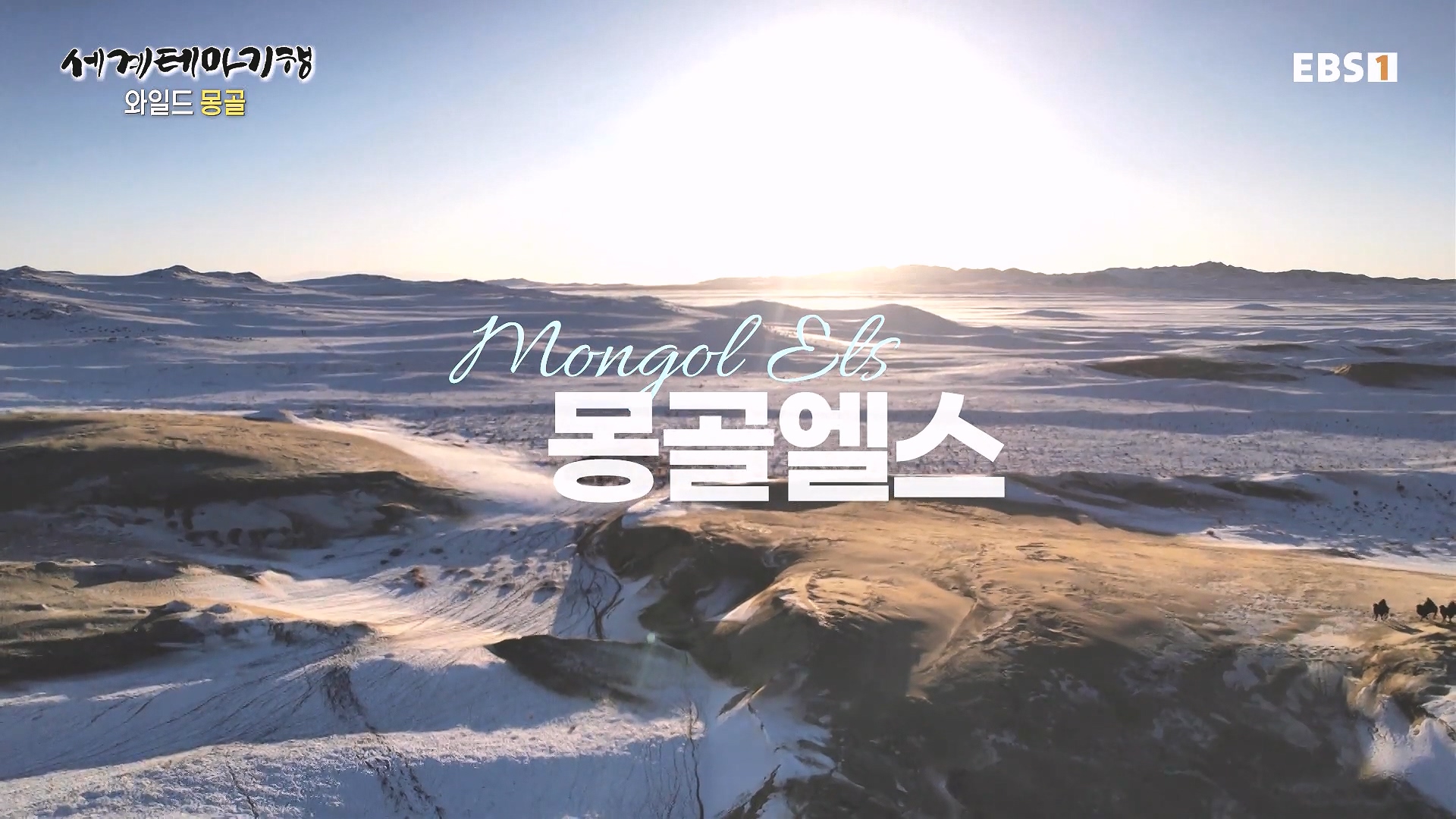 세계테마기행 240215 와일드 몽골 -알타이, 야생의 전설을 찾아서0p.mp4_20240802_201829.625.jpg
