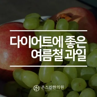 여름철 다이어트 식단 건강하게 맛있게 살 빼는 법 완벽 레시피_11