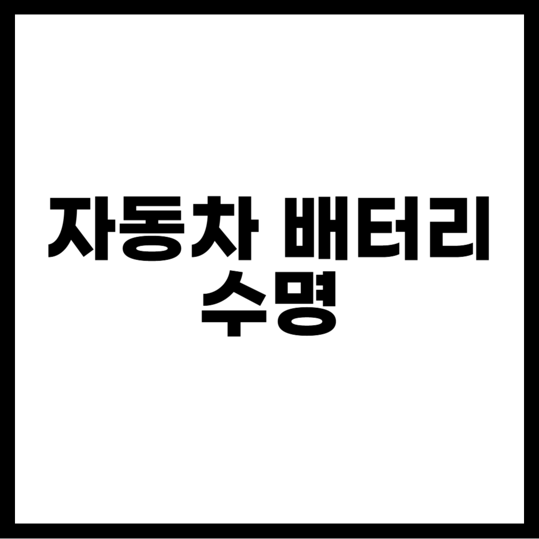 자동차 배터리 수명