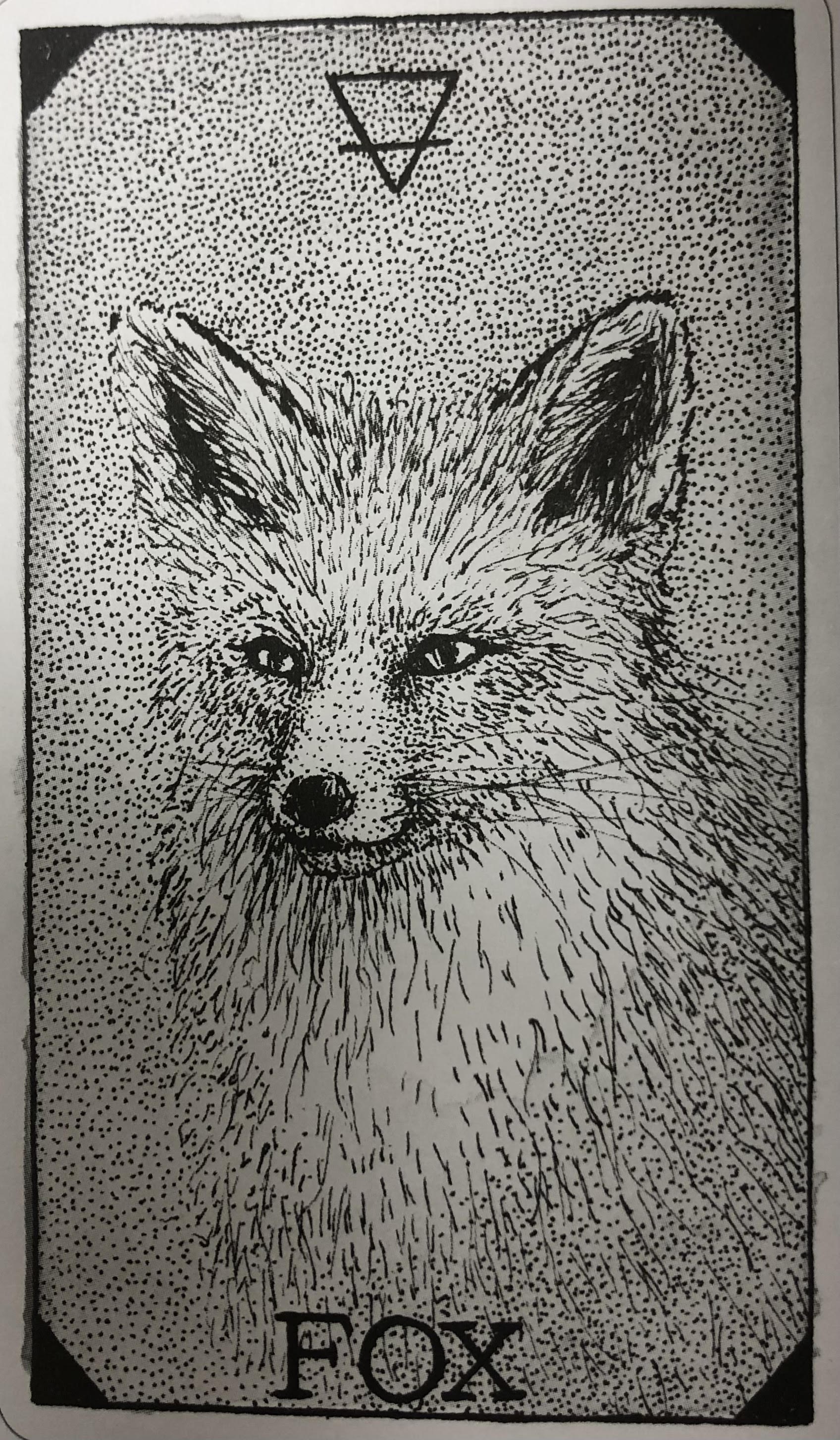 [오라클카드배우기/와일드언노운애니멀스피릿]The Wild Unknown Animal Spirit Fox 여우 해석 및 의미