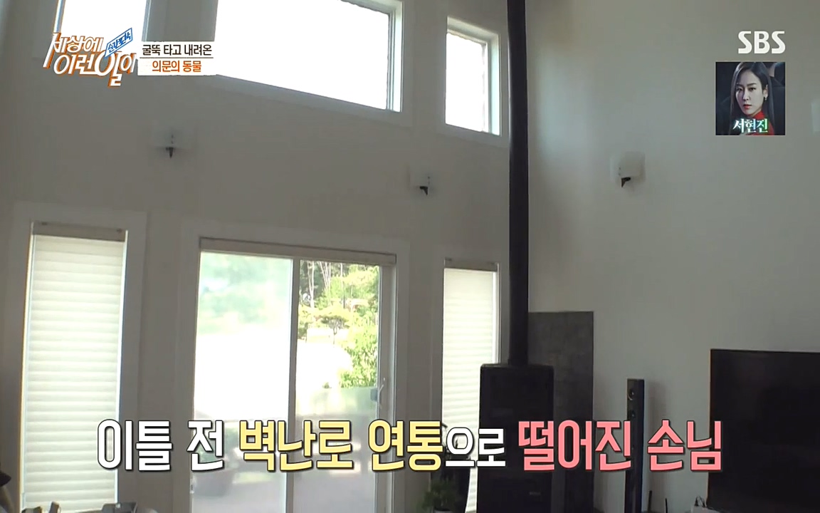 순간포착 세상에 이런일이.E1182.220532p-NEXT.mp4_20220601_173139.434.jpg