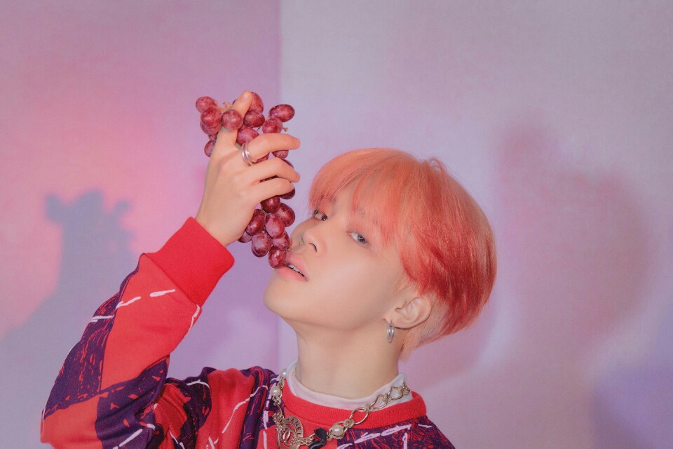  방탄소년단 디오니소스 표현