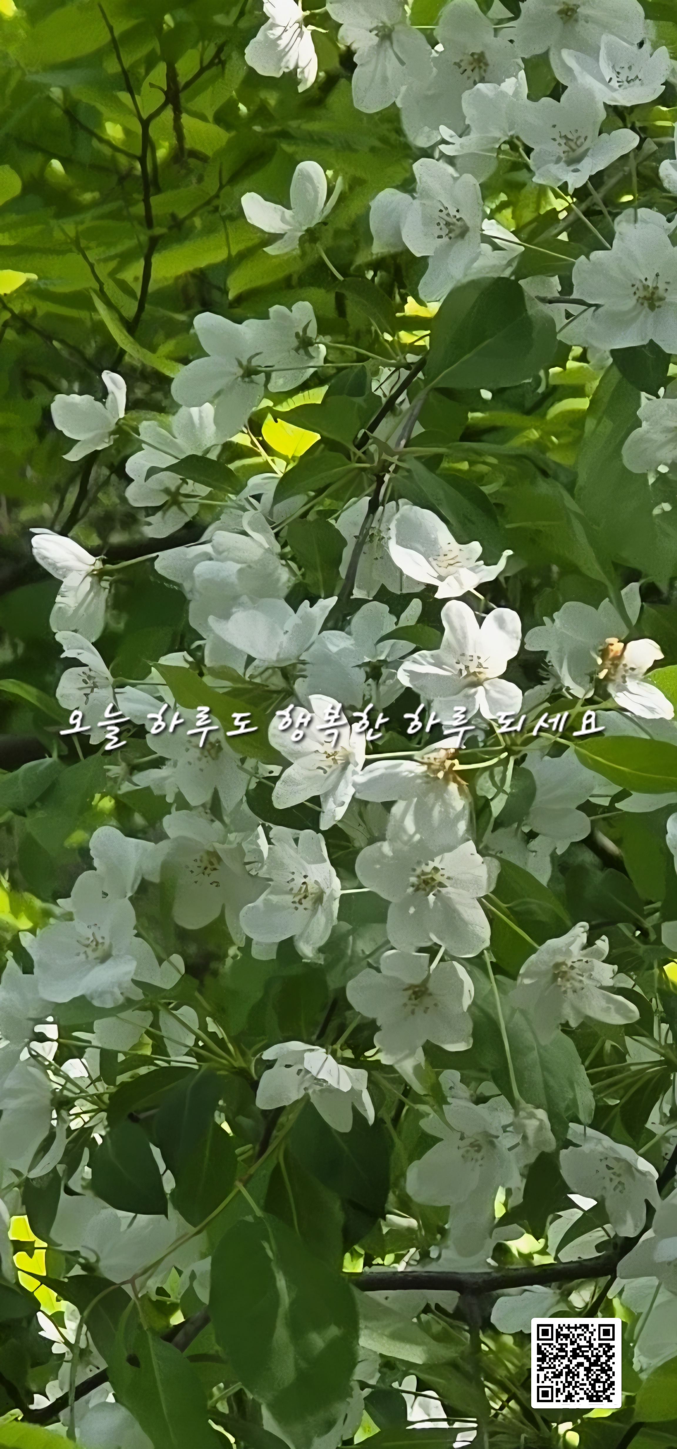 화요일 이미지