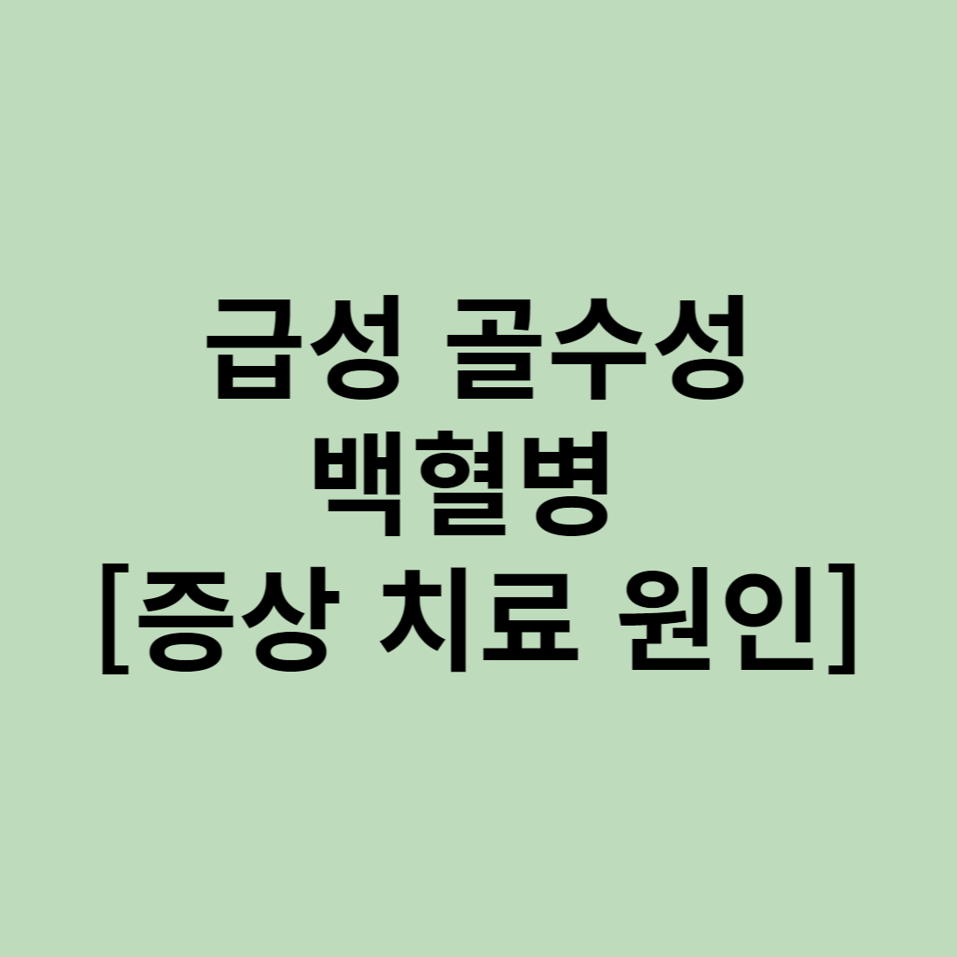 급성 골수성 백혈병 증상 치료 원인