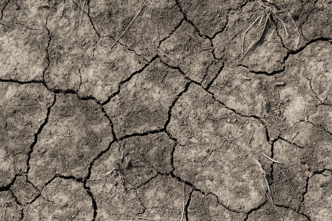 Dehydration
