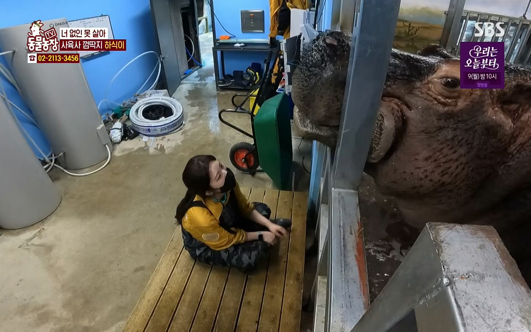 TV 동물농장.E1067.220501p.H264-F1RST.mp4_20220501_185000.010.jpg
