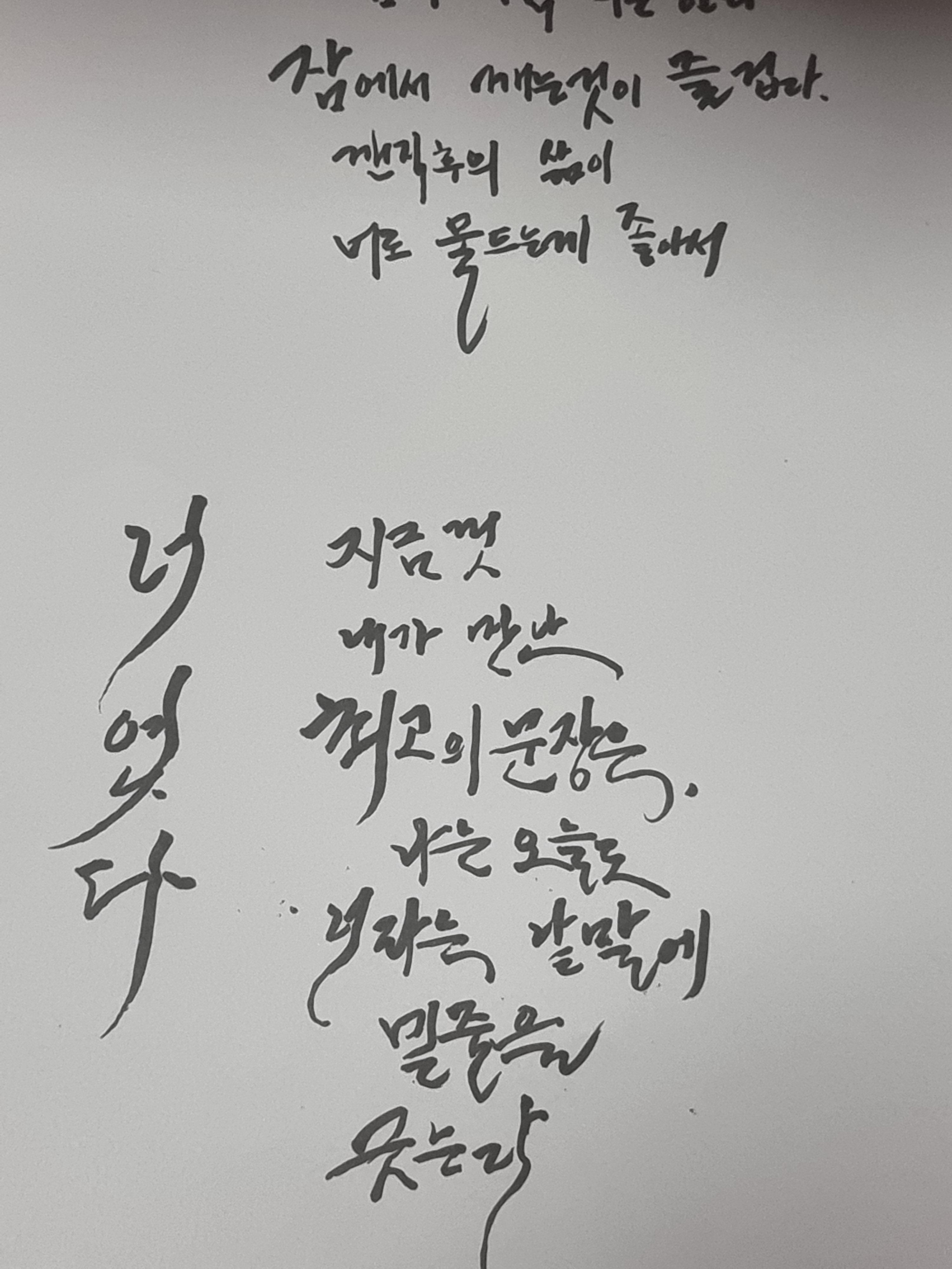  캘리그라피 캘리그래피연습