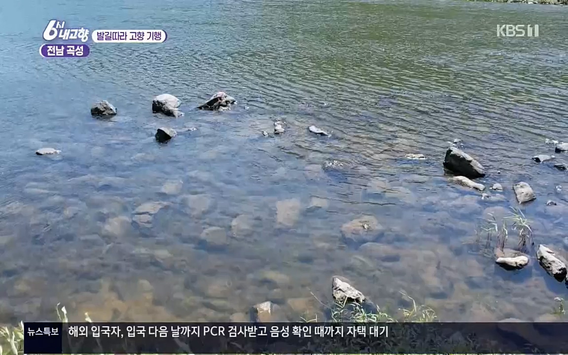 6시 내고향.E7608.220832p.H264-F1RST.mp4_20220901_204421.367.jpg