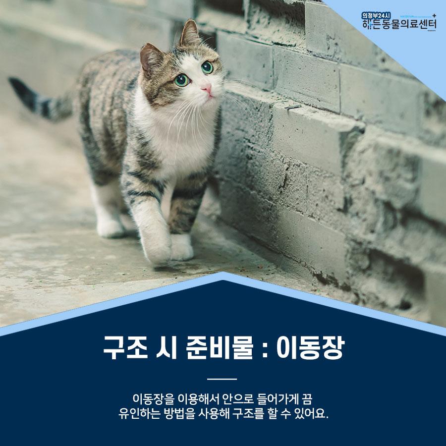 간택 , 구조는 어리다면 조심해야 해요! 7