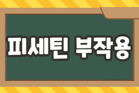 피세틴 부작용
