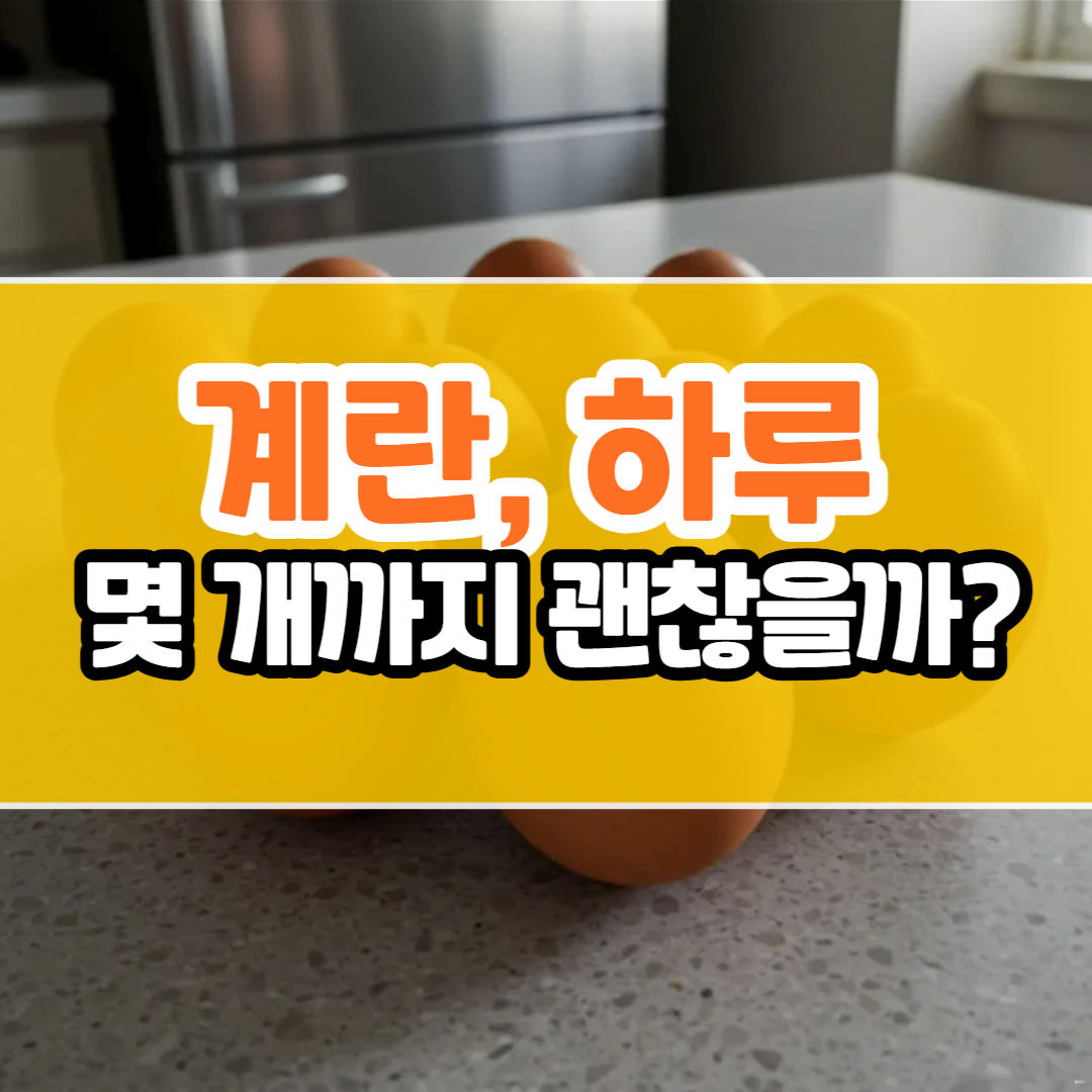 계란 하루 권장량