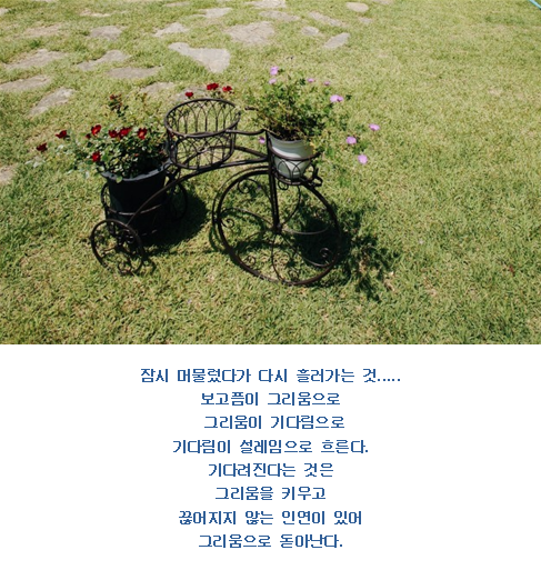꽃잎담아 이미지
