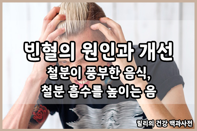  빈혈의 원인과 개선 : 철분이 풍부한 음식, 철분 흡수 높이는 음식