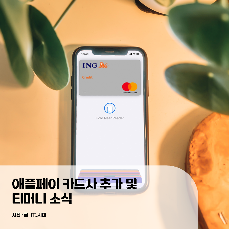  애플페이 티머니 소식 및 카드사 추가 정보