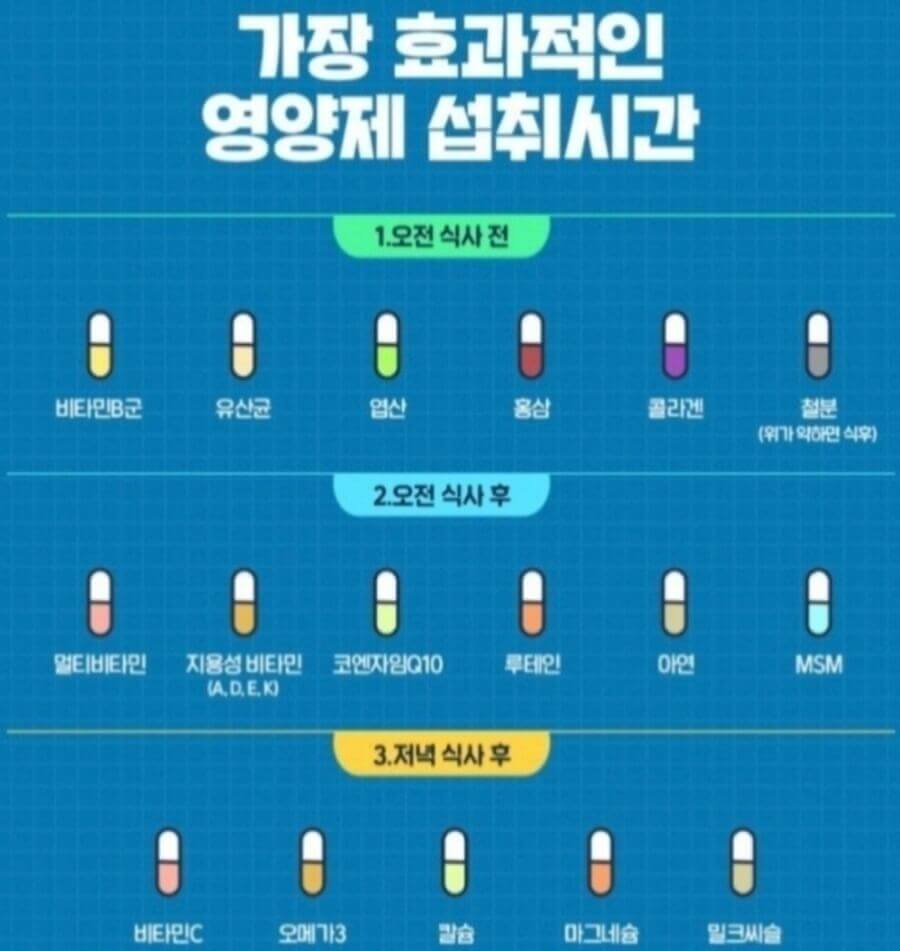 효과 좋은 영양제 시간