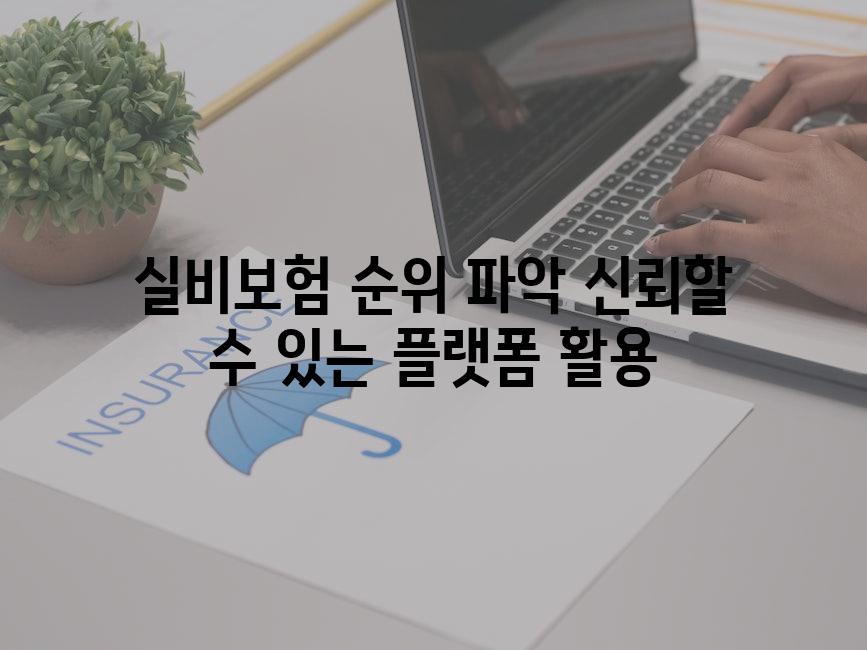 실비보험 순위 파악 신뢰할 수 있는 플랫폼 활용