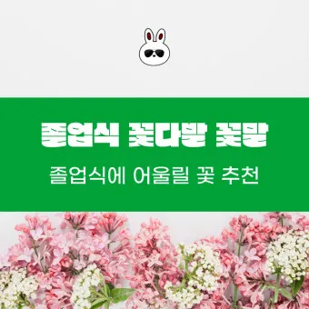 예쁜 꽃말 추천 모음 이해할수록 매력적인 꽃들의 꽃말 안내 모음_9