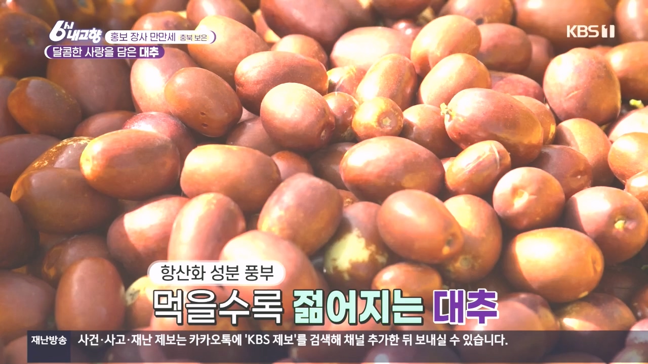 6시 내고향.E7897.231025p.H264-F1RST.mp4_20231025_202904.482.jpg