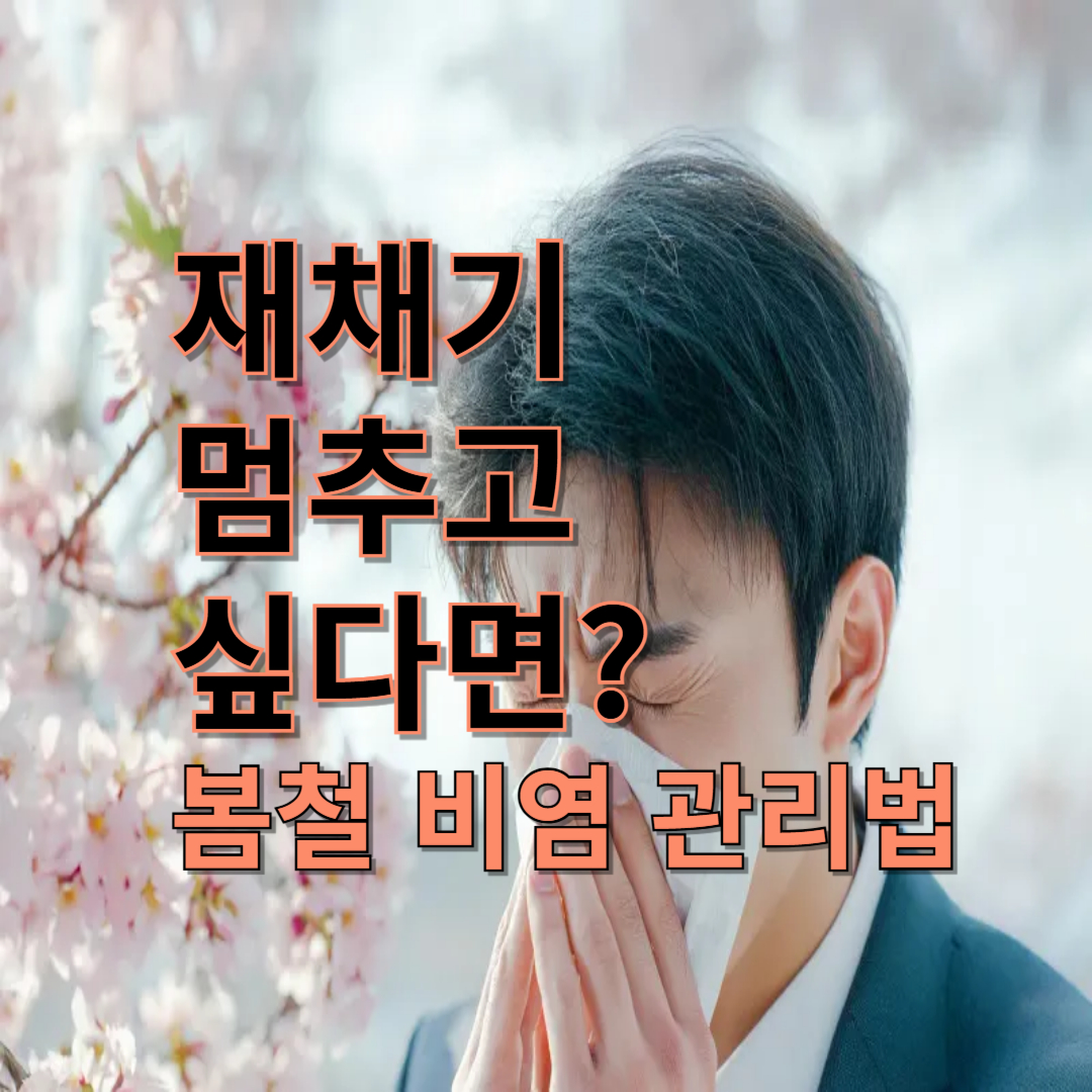 [1편] 봄철 알레르기 대처법 – 미세먼지 &amp; 비염 관리 루틴 🌸