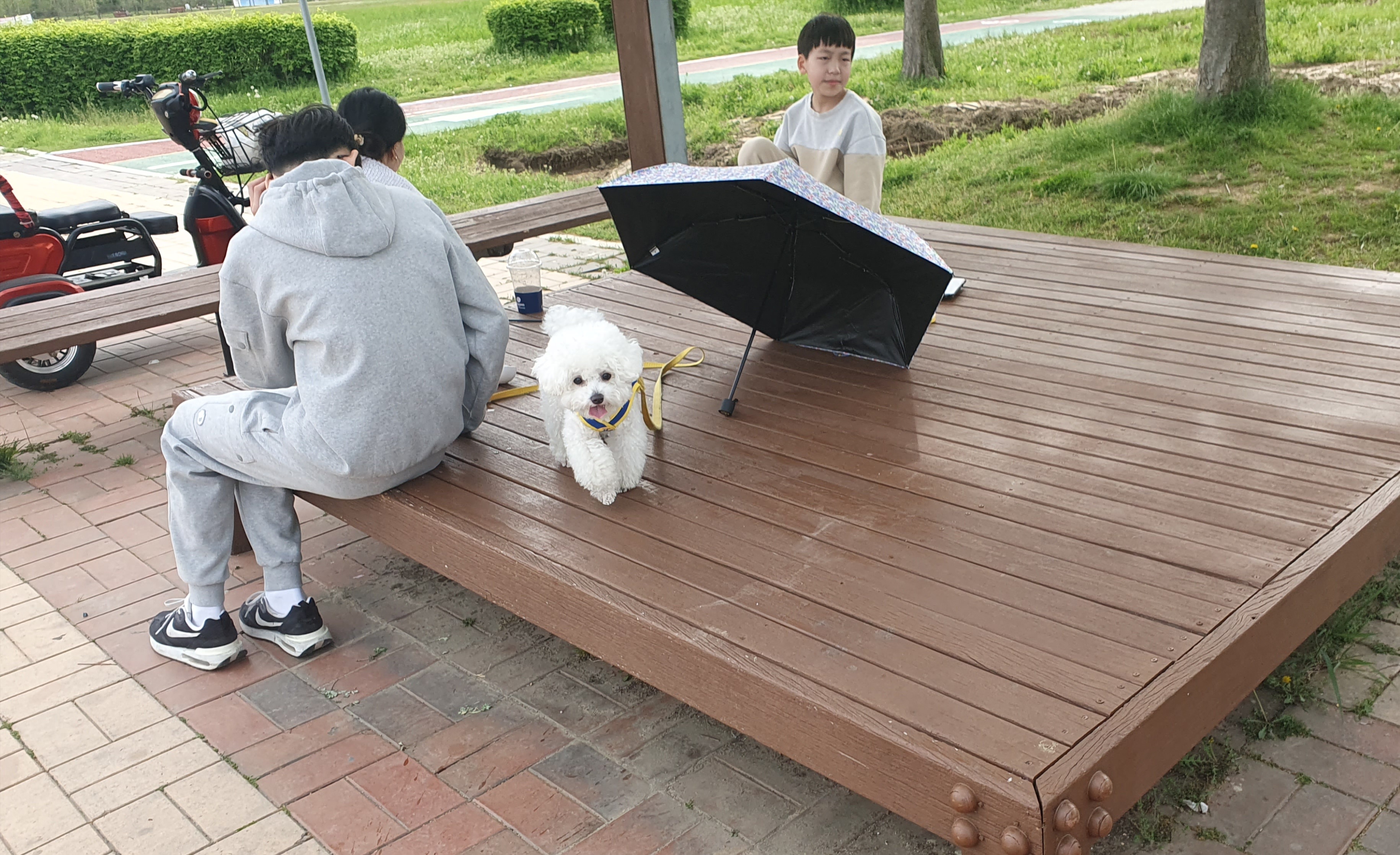 [김종우 칼럼] 반려동물산업에세이_76 펫 문화, 반려견 기질평가로 관리 도움