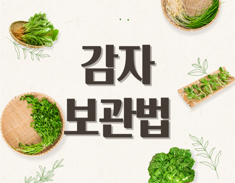 감자 보관법 신선하게 오래 보관하는 방법과 맛있게 삶는 법