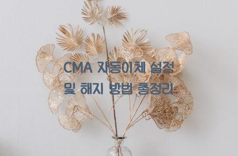 CMA 자동이체 설정