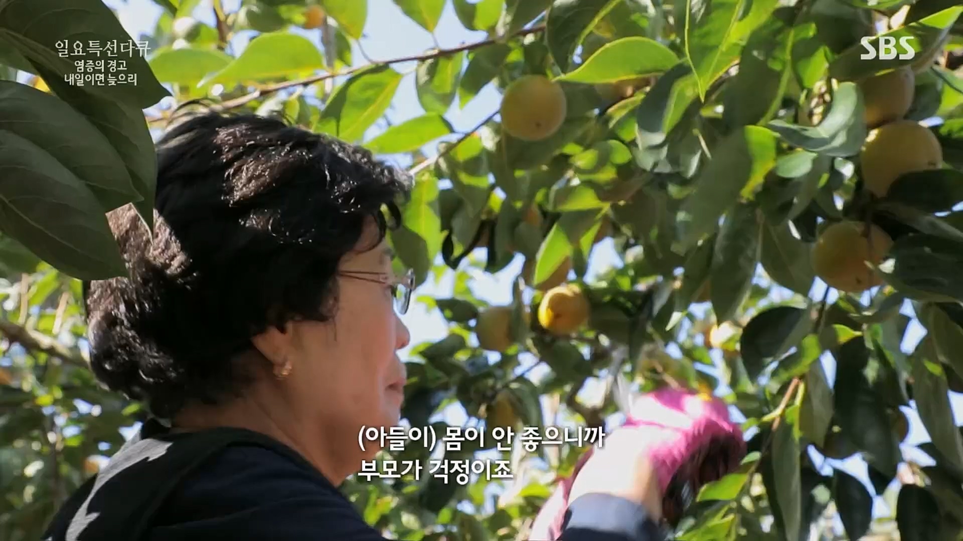 일요 특선 다큐멘터리.E305.230226p.H264-F1RST.mp4_20230301_011002.071.jpg