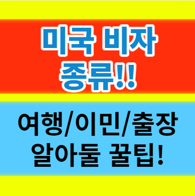  미국 비자 종류에 대해서 핵심만 요약하기