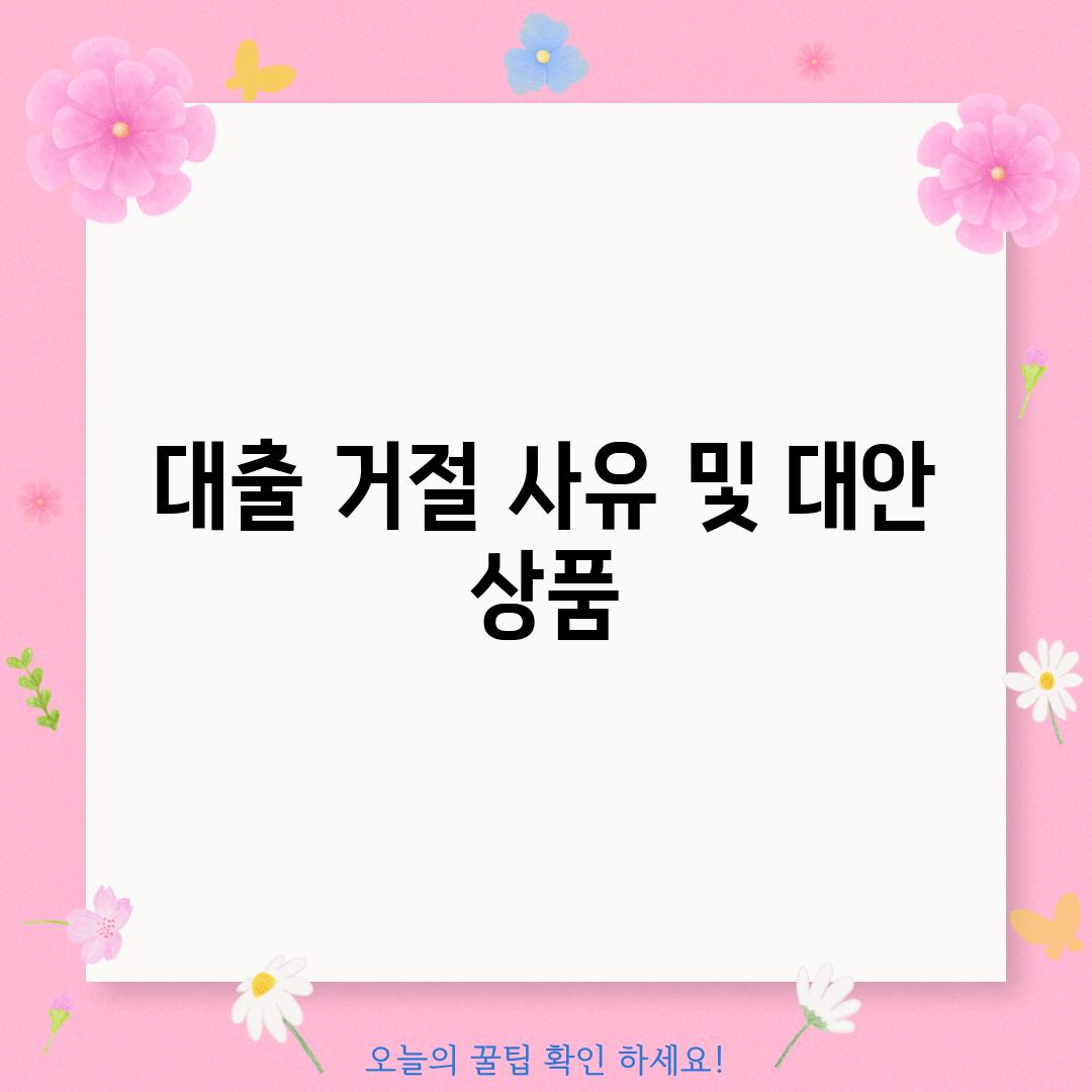 대출 거절 사유 및 대안 상품