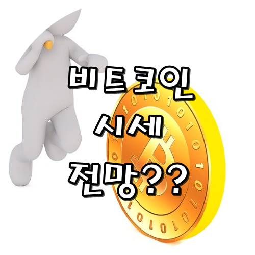  비트코인시세 및 전망?? 장기전략은?