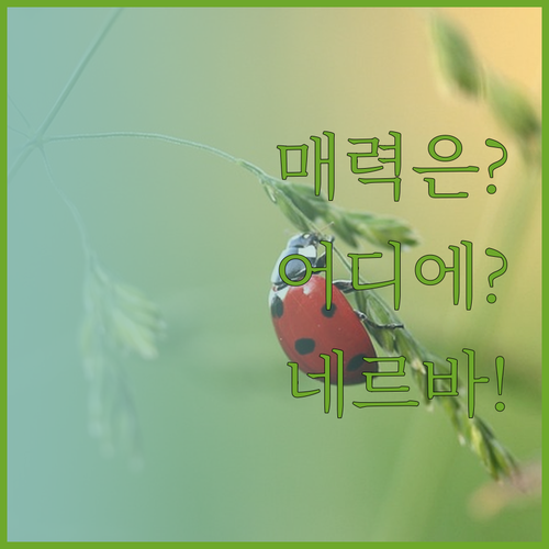 네르바 어코모데이션 카보우르의 매력은