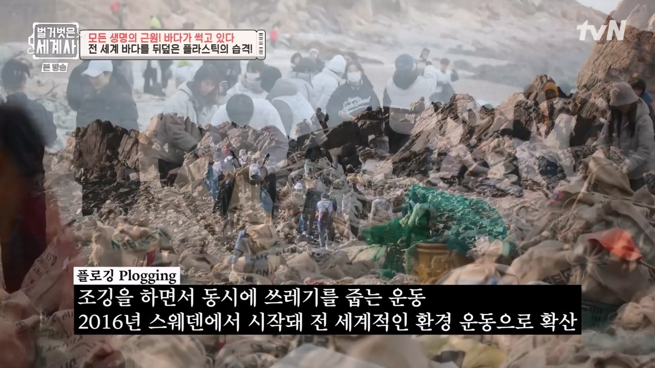 벌거벗은 세계사.E90.230315p-NEXT.mp4_20230419_212543.159.jpg
