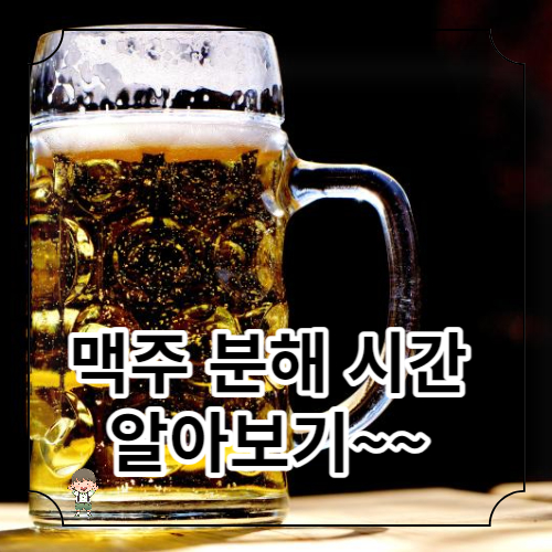 맥주 분해 시간