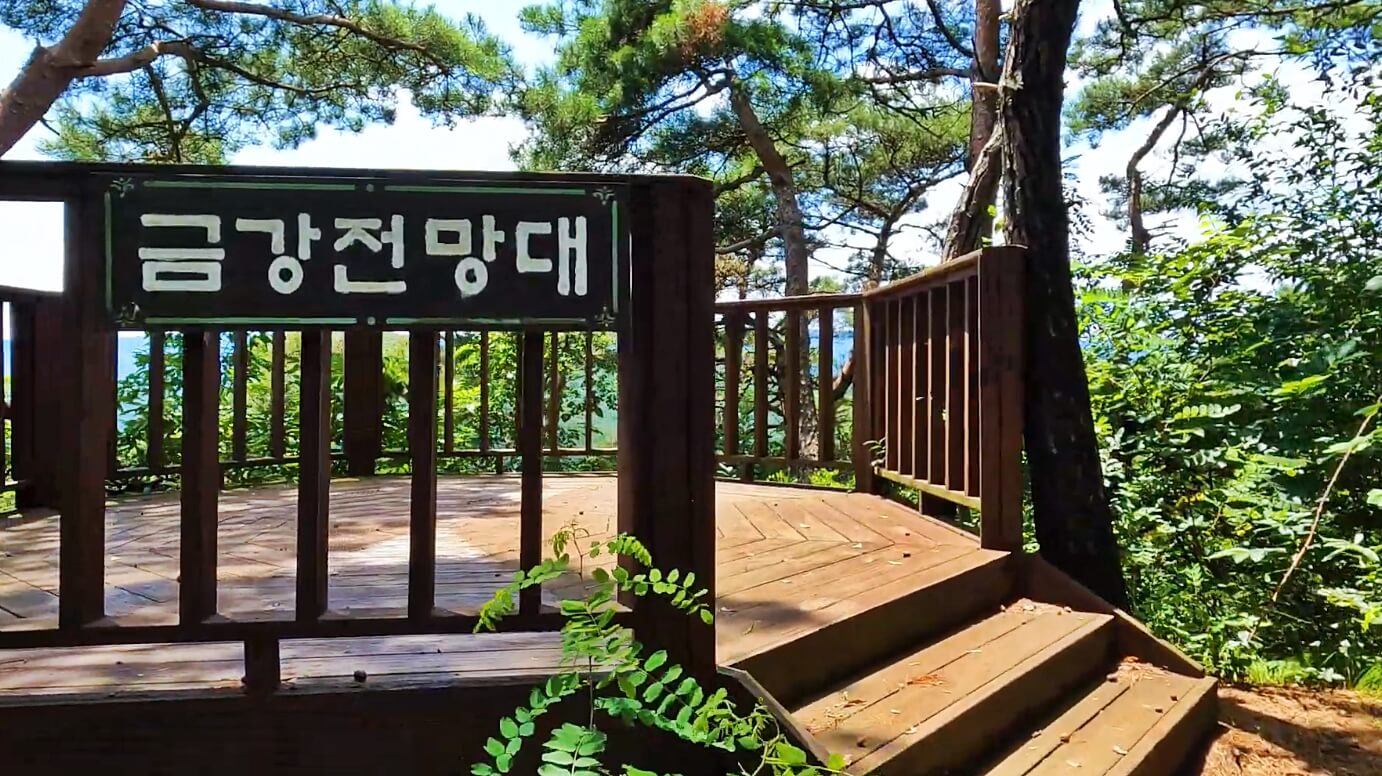 어깨산