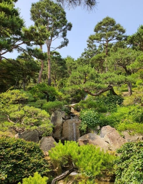 화담숲-여름