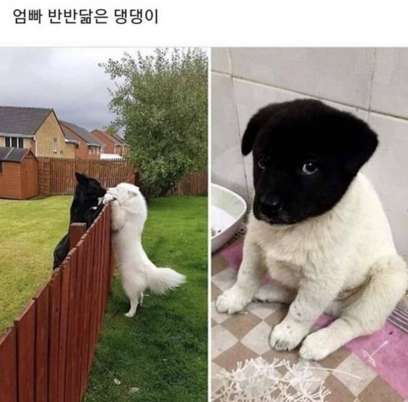 와봐 이미지